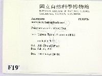 登錄號:F0019704藏品圖，第2張