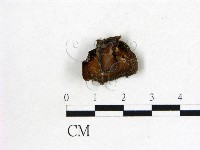 登錄號:F0019705藏品圖，第1張