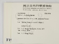 登錄號:F0019706藏品圖，第2張