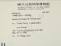 登錄號:F0019707藏品圖，第2張