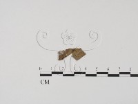 登錄號:F0019707藏品圖，第1張