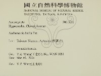 登錄號:F0019708藏品圖，第2張