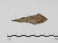 登錄號:F0019708藏品圖，第3張