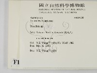 館號:F0019709藏品圖，第2張
