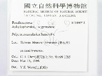 登錄號:F0019712藏品圖，第2張