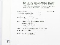 傘菌屬藏品圖，第2張