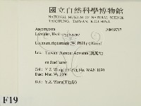 登錄號:F0019717藏品圖，第2張