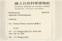 登錄號:F0019718藏品圖，第2張