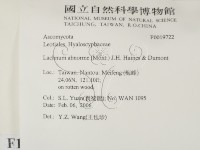 館號:F0019722藏品圖，第2張