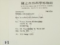 登錄號:F0019724藏品圖，第2張