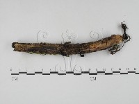 登錄號:F0019727藏品圖，第1張