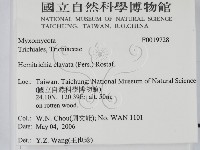 登錄號:F0019728藏品圖，第2張