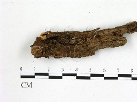 登錄號:F0019730藏品圖，第1張