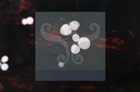 Accession Number:F0019730 Collection Image, Figure 4, Total 6 Figures