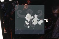 Accession Number:F0019730 Collection Image, Figure 5, Total 6 Figures