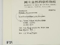 登錄號:F0019731藏品圖，第2張