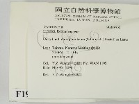 登錄號:F0019732藏品圖，第2張