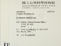 登錄號:F0019734藏品圖，第2張