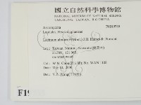 登錄號:F0019735藏品圖，第2張
