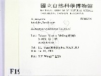 登錄號:F0019736藏品圖，第2張
