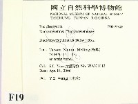 登錄號:F0019740藏品圖，第2張