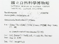 登錄號:F0019741藏品圖，第3張