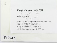 登錄號:F0019742藏品圖，第2張