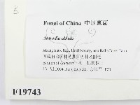 登錄號:F0019743藏品圖，第2張