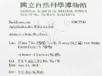 登錄號:F0019743藏品圖，第3張