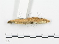 登錄號:F0019743藏品圖，第4張