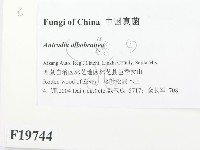 登錄號:F0019744藏品圖，第2張