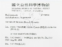 登錄號:F0019744藏品圖，第3張