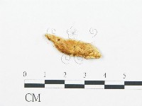 登錄號:F0019744藏品圖，第1張