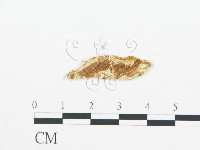 登錄號:F0019744藏品圖，第4張