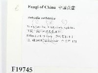 登錄號:F0019745藏品圖，第2張