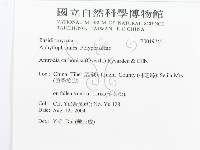 登錄號:F0019745藏品圖，第3張