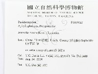 登錄號:F0019747藏品圖，第3張