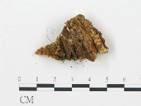 登錄號:F0019747藏品圖，第4張