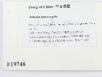 登錄號:F0019748藏品圖，第2張