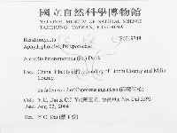 登錄號:F0019748藏品圖，第3張