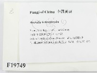 館號:F0019749藏品圖，第2張