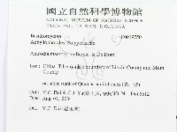 登錄號:F0019750藏品圖，第3張