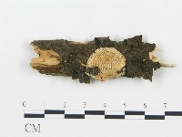 登錄號:F0019750藏品圖，第1張