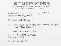 登錄號:F0019751藏品圖，第3張