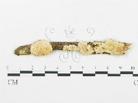 登錄號:F0019751藏品圖，第1張