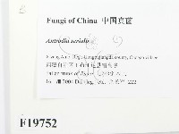 登錄號:F0019752藏品圖，第2張