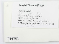 登錄號:F0019753藏品圖，第2張
