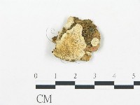登錄號:F0019753藏品圖，第1張