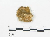 登錄號:F0019753藏品圖，第4張