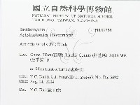 登錄號:F0019754藏品圖，第3張